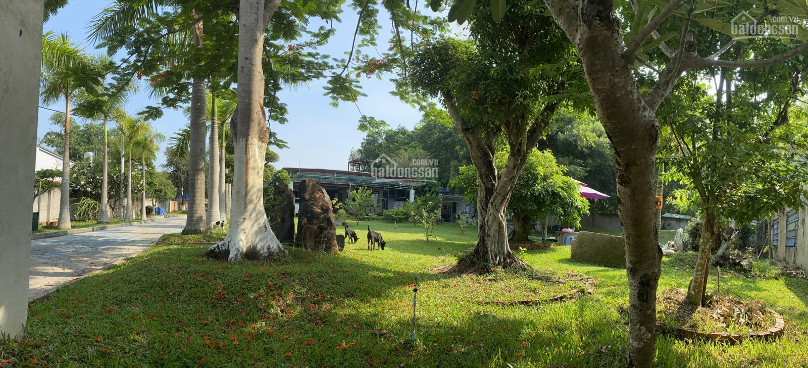 Bán nhà vườn tại Củ Chi, xã An Nhơn Tây 5000m2 có 3000m2 thổ cư — ảnh 1